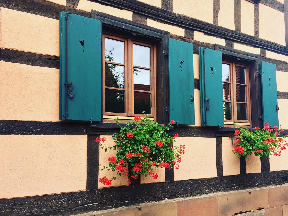 Schillersdorf Chambres D'Hotes S'Burehiesel מראה חיצוני תמונה