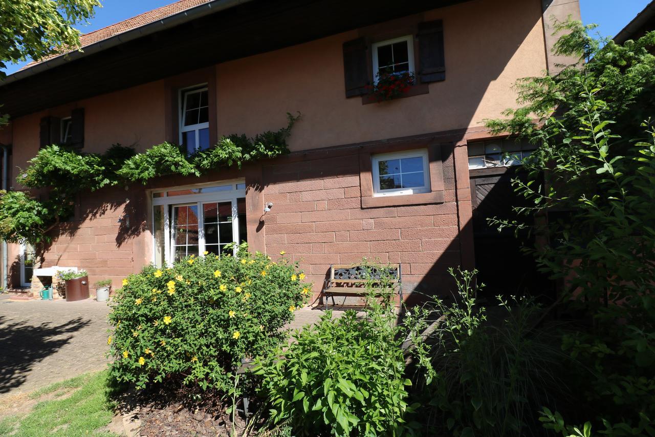 Schillersdorf Chambres D'Hotes S'Burehiesel מראה חיצוני תמונה